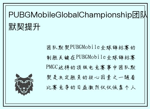 PUBGMobileGlobalChampionship团队默契提升