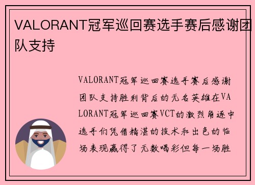 VALORANT冠军巡回赛选手赛后感谢团队支持